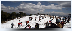 Manufacturers Exporters and Wholesale Suppliers of Shimla Holiday Package Jammu Jammu and Kashmir